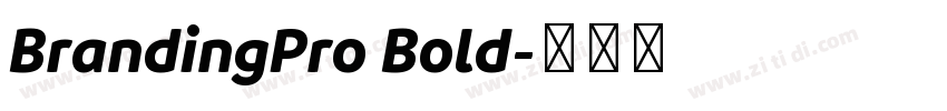 BrandingPro Bold字体转换